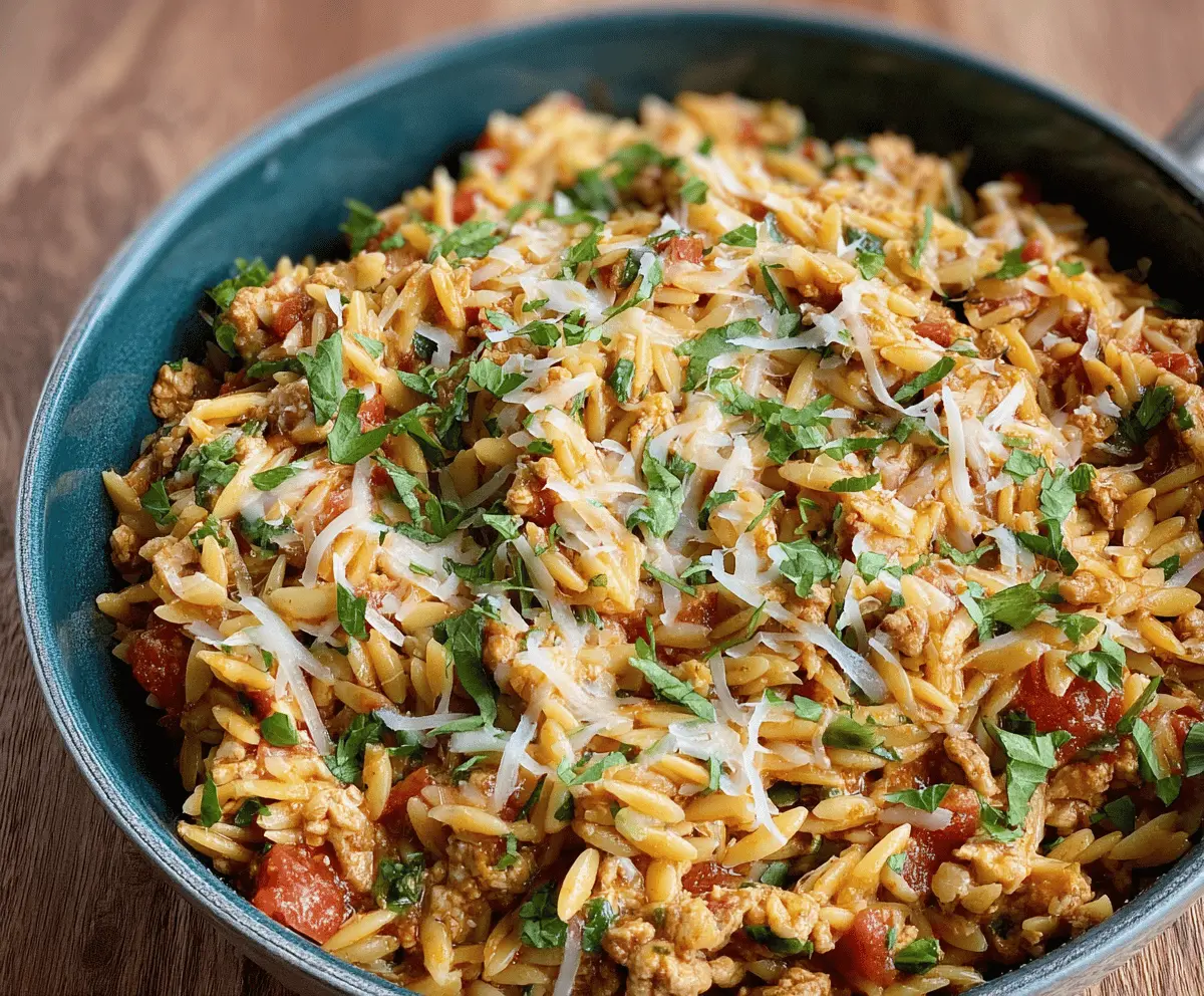 Easy and Delicious Ground Turkey Orzo Recipe