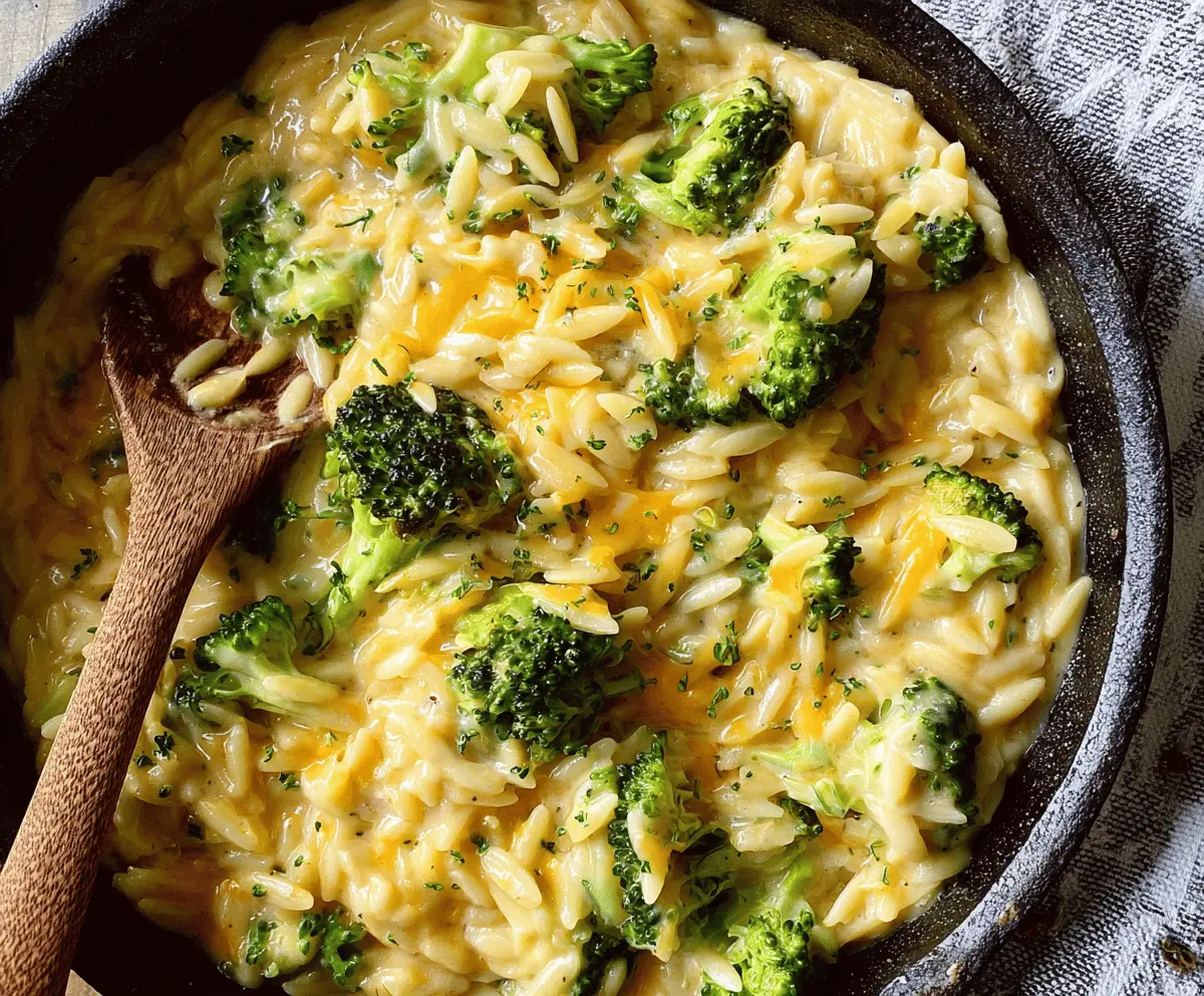 Quick & Creamy One-Pot Broccoli Cheddar Orzo Recipe