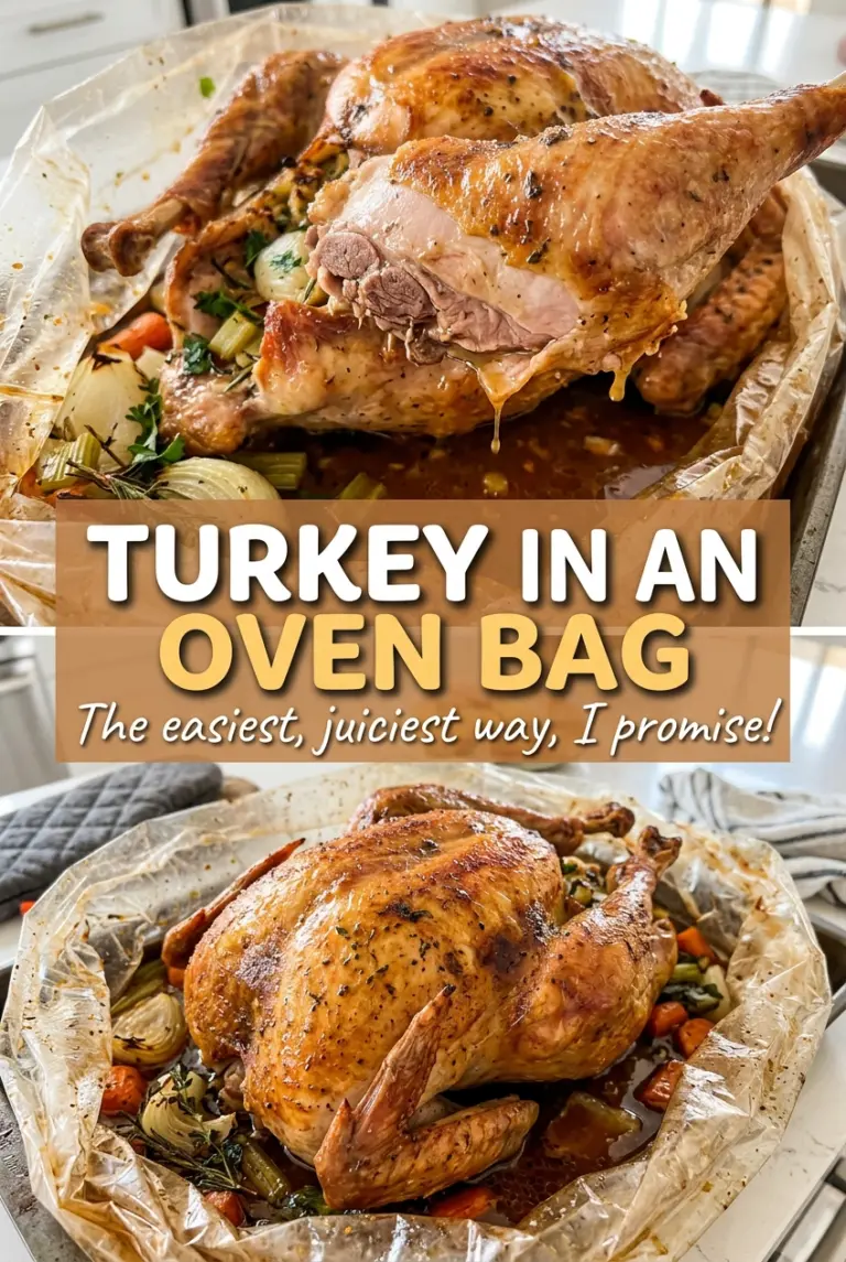 Turkey in an Oven Bag